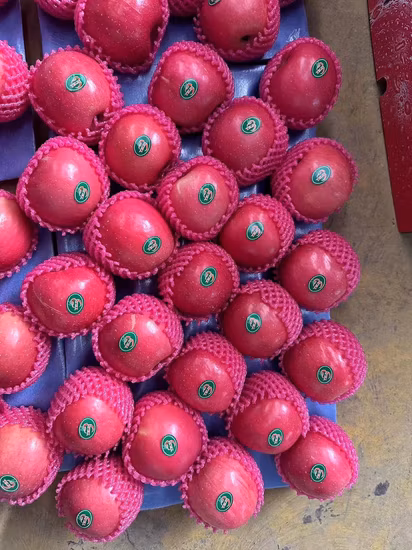 Фирменное консервированное яблоко Розовое La Dy FUJI отборное качество Malus отечественных фруктов