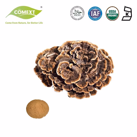 Полисахарид Coriolus Versicolor, порошок экстракта хвоста индейки