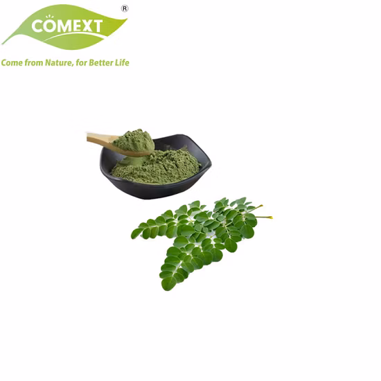 Comext Boost Immunity 100% натуральные травы: птеригоспермин, морингин, морингинин, спирохин 4 ~ 20: 1, косметический класс/экстракт листьев моринги для здорового питания